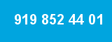 919 852 44 01 919 852 44 01
